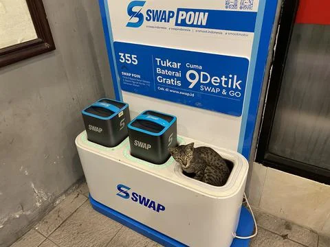 Charging Cat Stock Photos