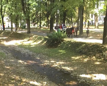 Chariot Stock Footage 1078832