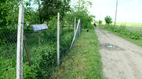 Chariot with a Man pulled by Horse on a Road Stock Footage 43052136