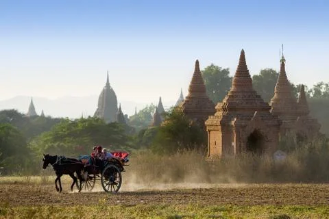 Chariots sight seeing in bagan, myanmar Stock Photos