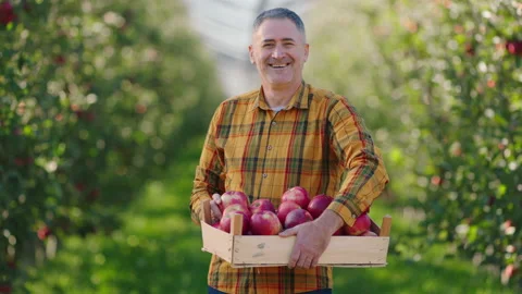 Charismatic man farmer in the middle of apple orchard posing in front of the Stock Footage 166563812