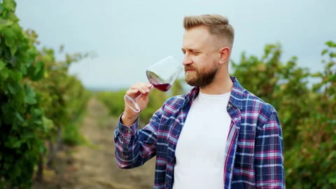 Charismatic man in front of the camera take a glass of wine and taste in the Stock Footage 153233955