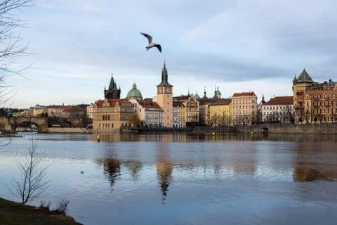 Charles Bridge and Vltavka River with reflection of houses Stock Photos