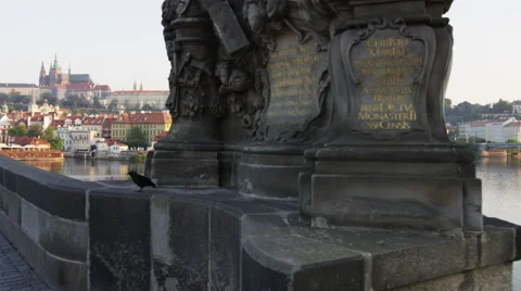 Charles Bridge Castle Crow Standing - 4k - Slow motion Stock Footage 60439113