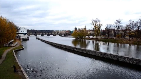 Charles Bridge over Vltava River in Prague, Czech Republic Stock Footage 77839541