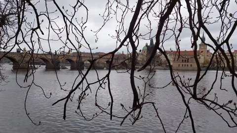 Charles Bridge Prague Through Tree Branches Video Stockbeeldmateriaal 332014811
