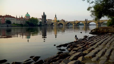 Charles Bridge at sunrise Stock Footage 93701735