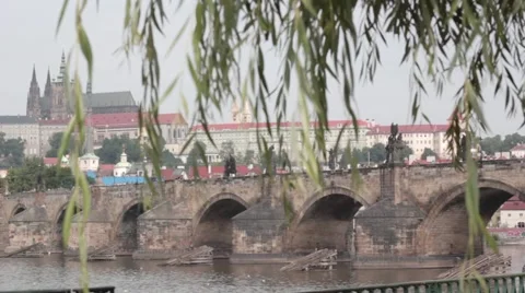 Charles Bridge through the branches Stock Footage 40948171