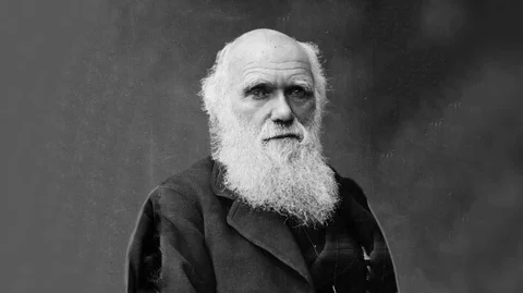 Charles Darwin 3D Photo Stock Footage 71174591