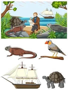 Charles Darwin with Animals Set Stock Illustration