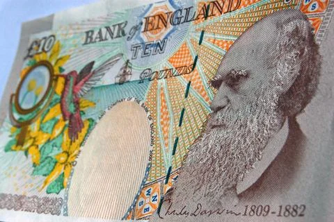 Charles Darwin banknote Stock Photos