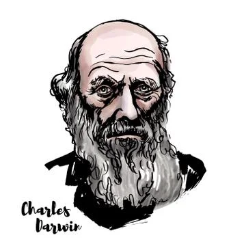 Charles Darwin Stock Illustration