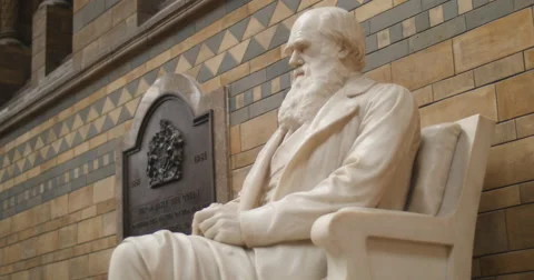 Charles Darwin statue in Natural History museum 4K Stock Footage 40925236