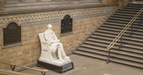 Charles Darwin statue next to museum steps 4K Stock Footage 41028516