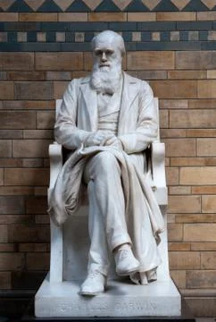 Charles Darwin Statue Stock Photos