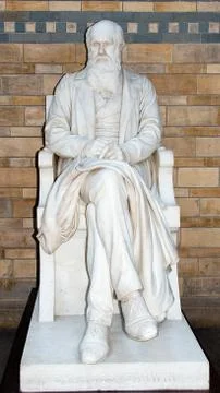 Charles Darwin Statue Stock Photos