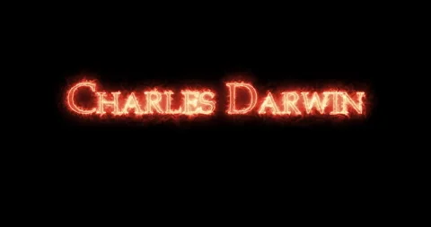 Charles Darwin written with fire. Loop Stock Footage 130335490