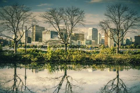 Charles River Esplanade in Boston with reflection of trees in the water Stock Photos