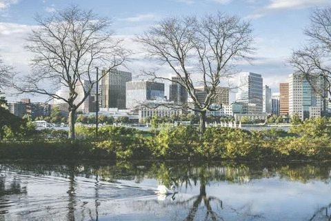 Charles River Esplanade in Boston with reflection of trees in the water Stock Photos