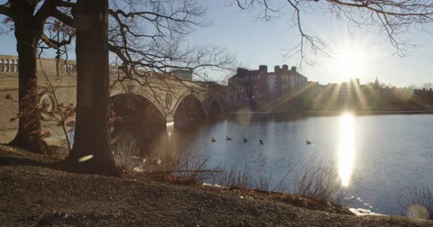 Charles River EXT 5 Stockbeeldmateriaal 59326481