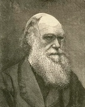 Charles Robert Darwin, 1809 Foto stock