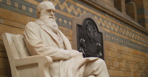 Charles Robert Darwin -  evolutionary theory 4K Stock Footage 41011931