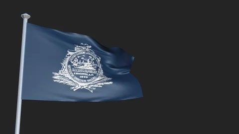 Charleston - Loopable 3D flag animation with Alpha Channel and Transparency f Stock-Footage 90968603