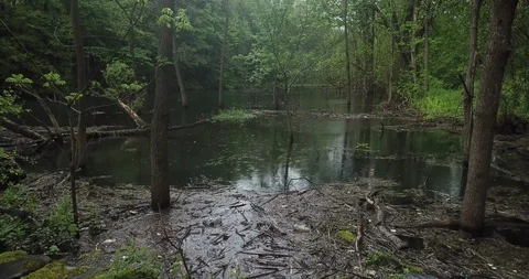 Charlie C. Major Nature Trail Backwards Pan of Leaking Dam Stock-Footage 109075341