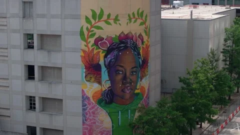 Charlotte Murals 1 Stock Footage 276935016