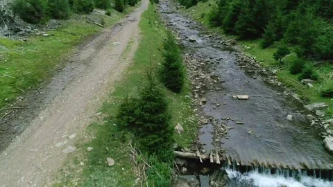 Charm clean mountain river, summer vibes Stock Footage 314109506
