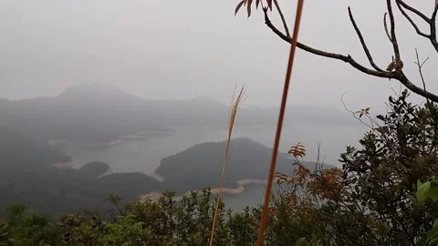 The charm of mist at the top of the hill Stock Footage 242228759