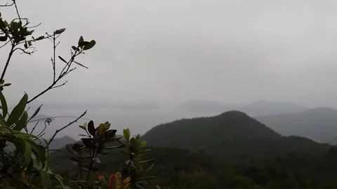 The charm of mist at the top of the hill Stock Footage 242229398