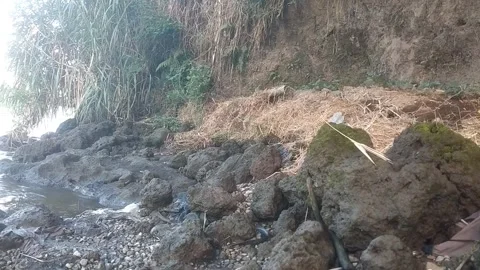 The charm of the rocky coast 動画素材 335080443