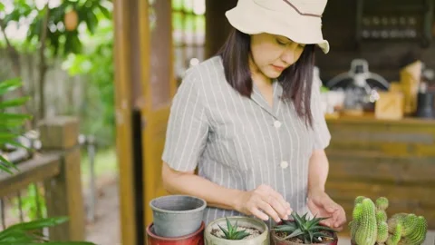 A charming and smiling middle-aged woman enjoys tending plants and admiring the  Stock Footage 252890173
