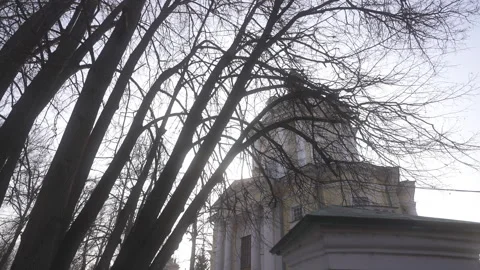 Charming Architectural Structure Surrounded by Leafless Trees Vidéo 303814451