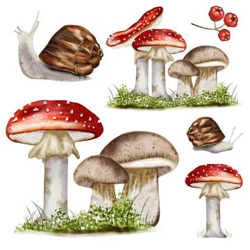 Charming autumn watercolor pattern featuring mushrooms, snails, and berries.. Illustrazione stock