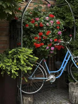 A Charming Blue Bicycle Surrounded by Vibrant Flowers Nestled Within a Cozy.. Stock Photos