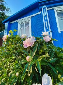 A charming blue house adorned with an array of colorful flowers beautifully.. Foto stock