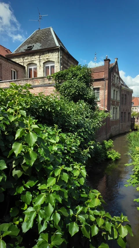 Charming canal lined with historic brick architecture and vibrant vegetation. Stock Footage 338074071