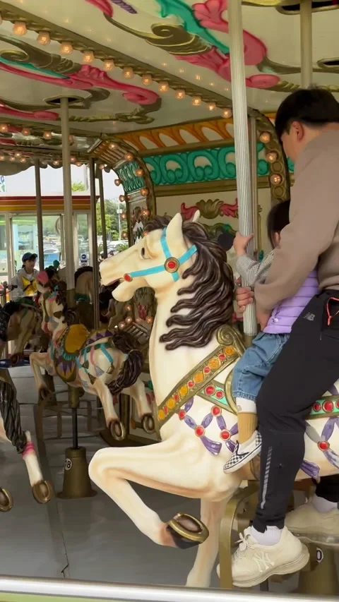 A charming carousel at an amusement park filled Stock Footage 315674886