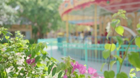 A Charming Carousel is Delightfully Surrounded by Gorgeous Lush Flowers in the Stock Footage 310929605