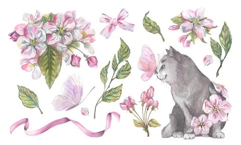 Charming clip art set with apple blossoms, ribbons, bows, butterflies, and cat Stock Illustration