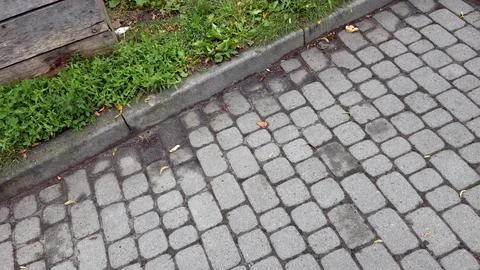 Charming Cobblestone Sidewalk Inviting Strolls Through Lush Greenery Stock Photos
