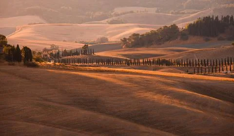 Charming colored tuscan sunset Stock Photos