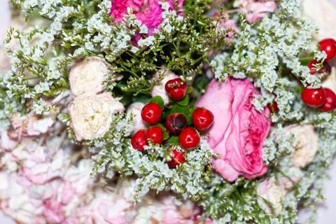 This charming composition showcases a delicate blend of soft hues and natural Fotos de archivo