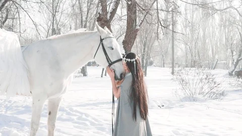 Charming couple of friends, the hostess and her faithful friend in the winter Stock Footage 103595627