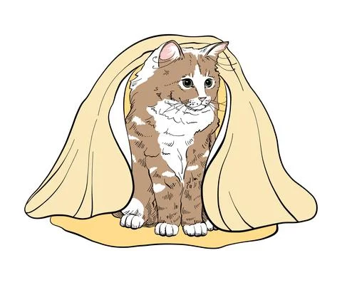 A charming cute ginger kitten with big eyes sits wrapped in a blanket, towel Stock Illustration
