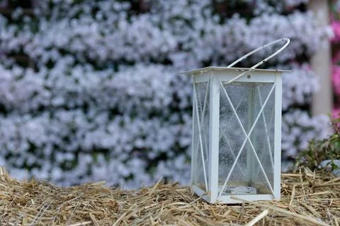 Charming Decorative Lantern in a Rustic Setting Surrounded by Blossoming Flowers Stock Photos