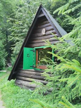 Charming A-Frame Cabin Surrounded by Lush Green Forest in Tranquil Nature Foto stock