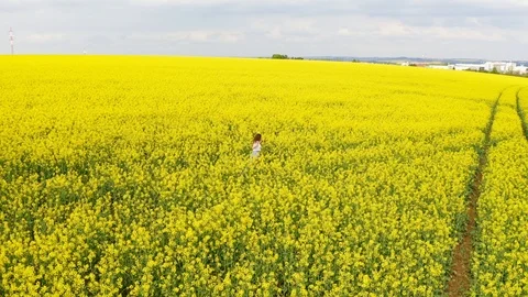 Charming girl walking through rape field Stock Footage 120562287